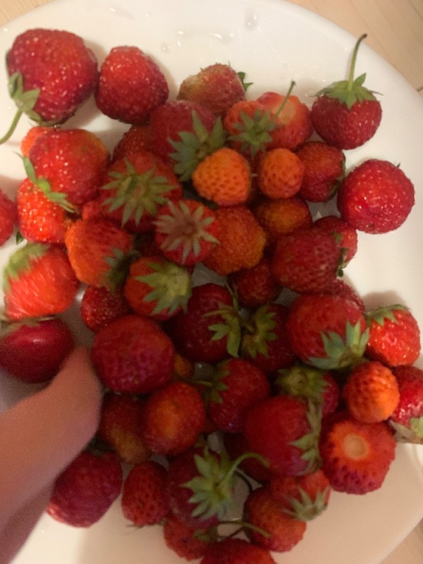 Create meme: large strawberries, strawberries raspberries, fresh strawberry