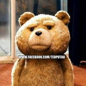 Create meme: Ted, the third wheel, teddy bear