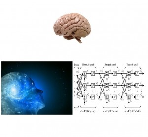 Создать мем: головной мозг, brain