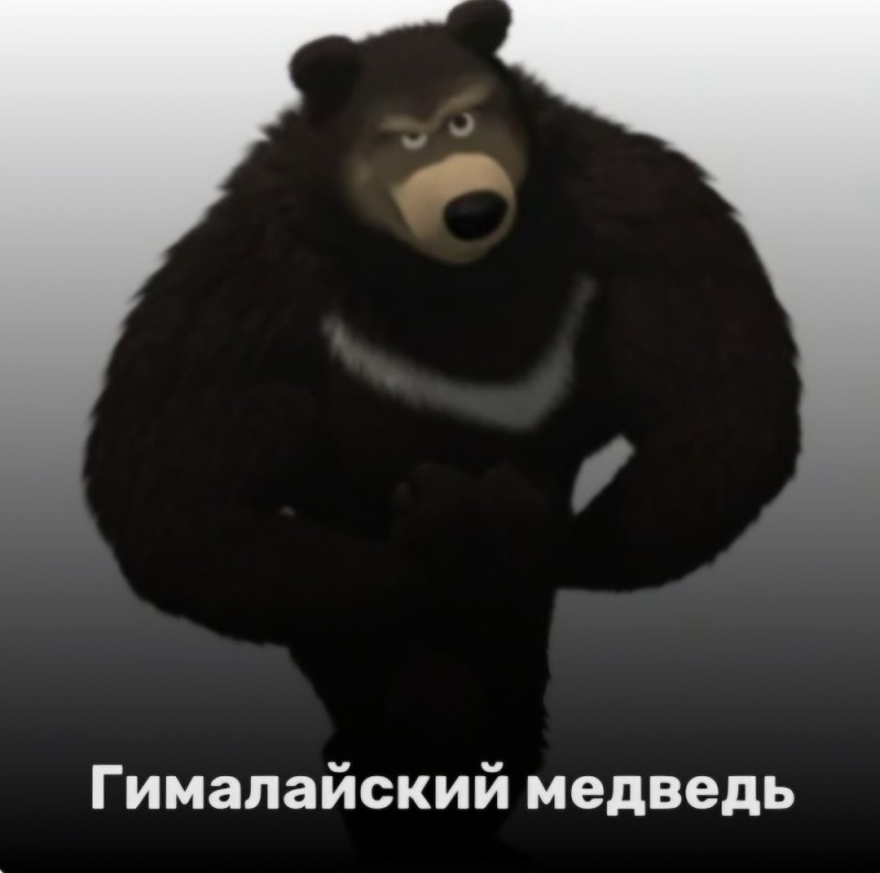 Create meme: Masha and the bear Himalayan bear, Masha and the bear are the heroes of the bear, Misha from the cartoon Masha and the bear