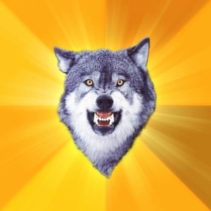 Create meme: wolf, the lone wolf, daring wolf