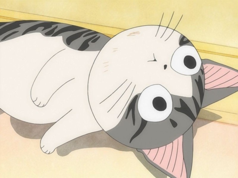 Создать мем: anime cat, аниме кошки, котики аниме