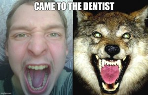 Create meme: wolf wolf, wolf, the muzzle of a wolf grin