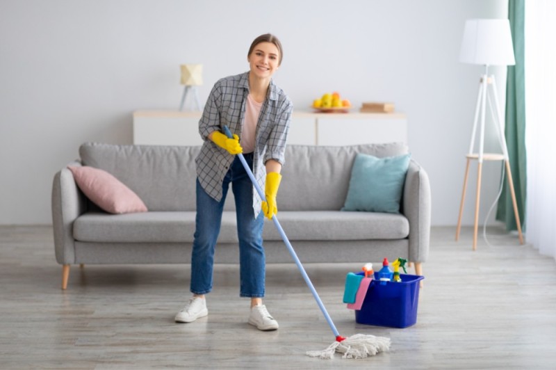 Create meme: dust cleaning, cleaning the house, cleaning 