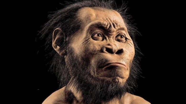 Create meme: the face of prehistoric man, ancient man, hominids