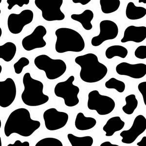 Create meme: spots cows