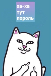 Создать мем: ахуевший кот показывает фак, кот, кот показывает средний палец