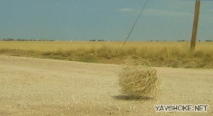 Create meme: rolling fields, tumbleweed, rolling stone