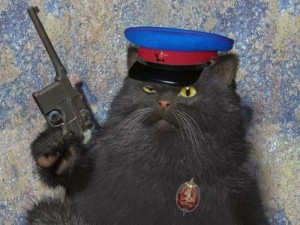 Create meme: security services, cat Motya, meme cat
