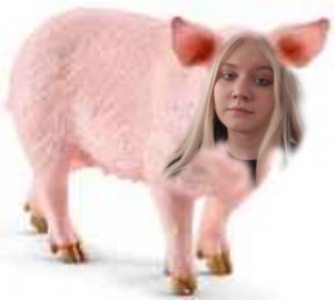 Создать мем: животные свинья, домашняя свинка, свинья с поросятами