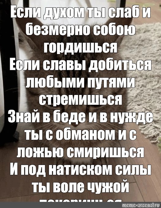 Песня если духом ты слаб. Если духом ты слаб и безмерно собою гордишься текст.