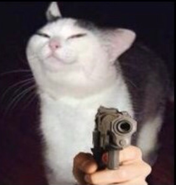 Создать мем: кот с ножом мем, кошка с пистолетом, кот с пистолетом