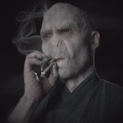 Create meme: Volan de mort, Harry potter voldemort, Lord Voldemort portrait