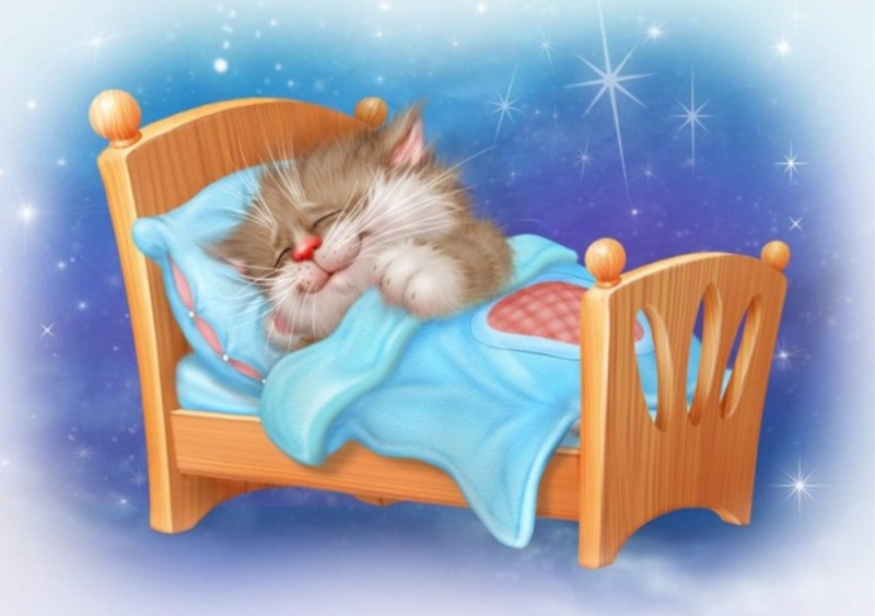 Создать мем: открытка сладких снов, спокойной ночи котики, доброй ночи