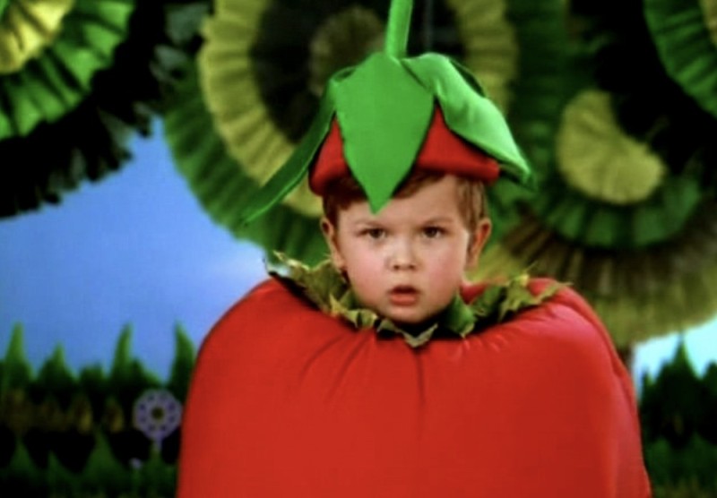 Create meme: I am a tomato orchard, children's tomato costume, tomato costume for a boy