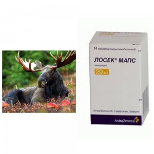 Create meme: moose, moose natural area, the elk in Karelia
