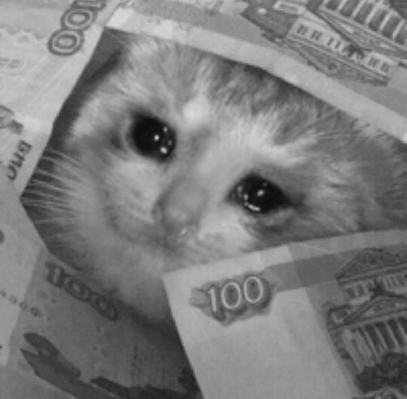 Создать мем: плачущий кот, деньги, кот