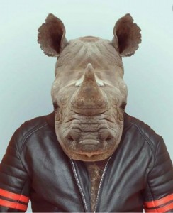 Создать мем: носорог, голова животного тело человека, животное