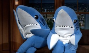 Создать мем: shark gif, left shark, What i am doing