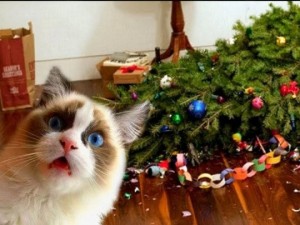 Создать мем: новогодние котики, кот рушит елку, новогодняя елка