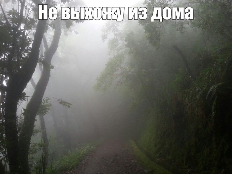 Create meme: road , foggy landscapes, interior