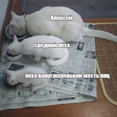 Создать мем: null