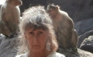 Create meme: macaque monkey, monkey, people