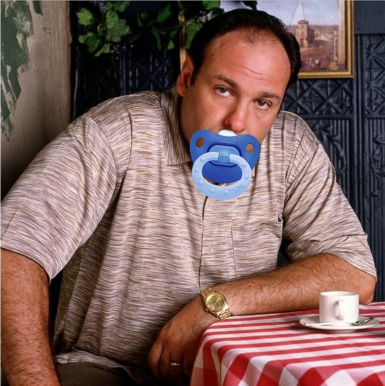 Create meme: The Sopranos clan TV series, Tony soprano actor, tony soprano 