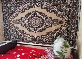 Create meme: soviet carpets, the carpet on the wall , an old carpet on the wall