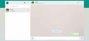 Create meme: A screenshot of the text, whatsapp web css template, web whatsapp online