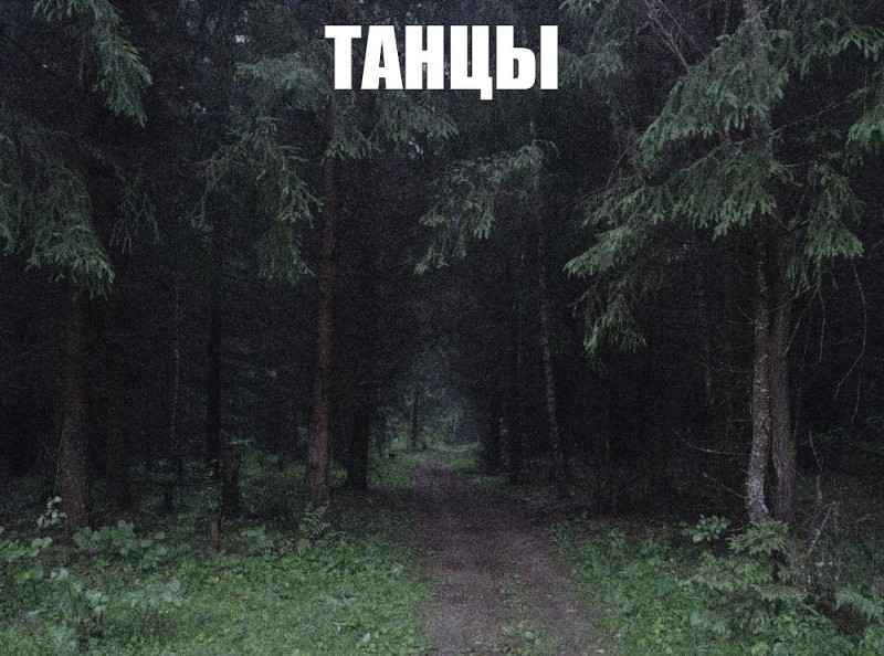 Create meme: nature forest , walking in the woods, forest forest