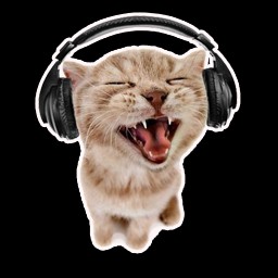 Create meme: kitten with headphones, cat with headphones, cat with headphones