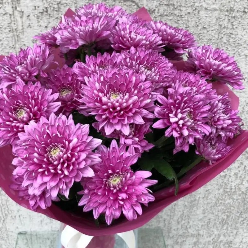 Create meme: chrysanthemum bush mix, chrysanthemum purple, chrysanthemum branhil purple