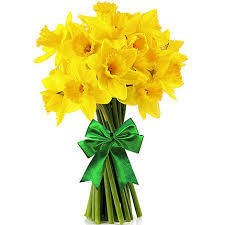 Create meme: daffodils bouquet, narcissus bouquet aesthete, monobucket daffodils