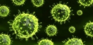 Create meme: viral infection, the flu virus, round virus