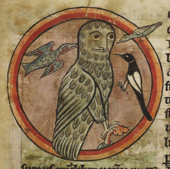 Create meme: The Aberdeen Bestiary owl, medieval bestiary owl, The symbol of the Evangelist John