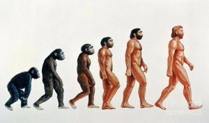 Create meme: the theory of evolution, the theory of human evolution, Darwin's theory of evolution