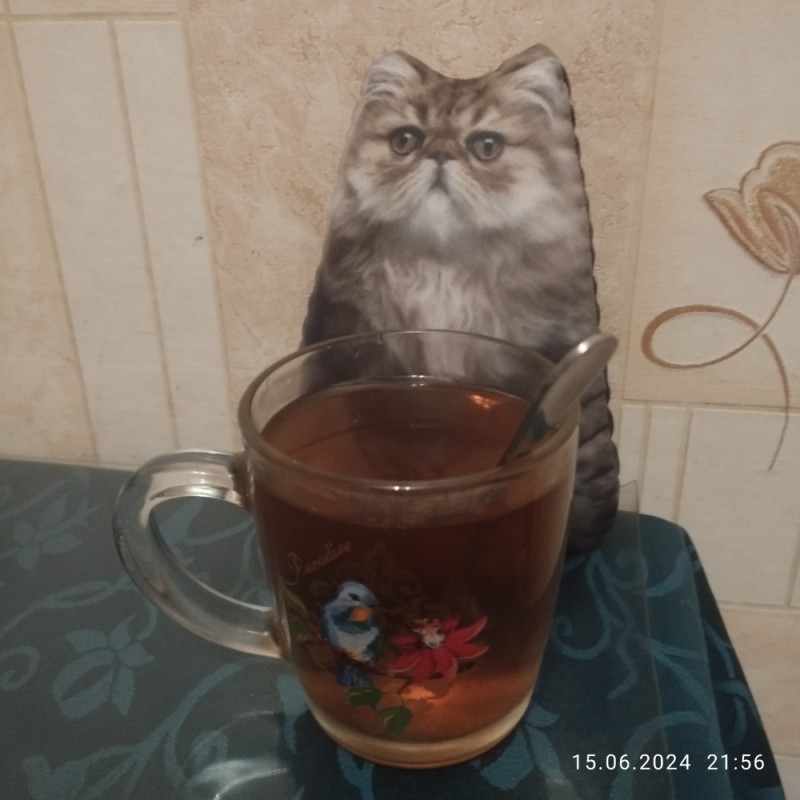 Create meme: cat , The cat is drinking tea, cat pours tea