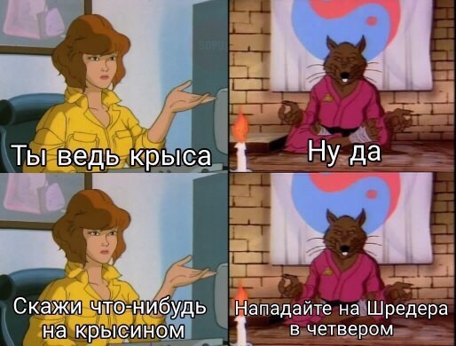 Крыса фото мем