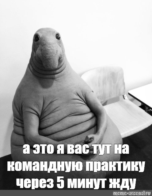 Сделай жду