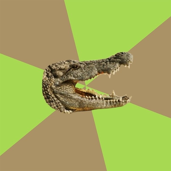 Create meme: crocodile meme, memes with crocodiles, alligator crocodile