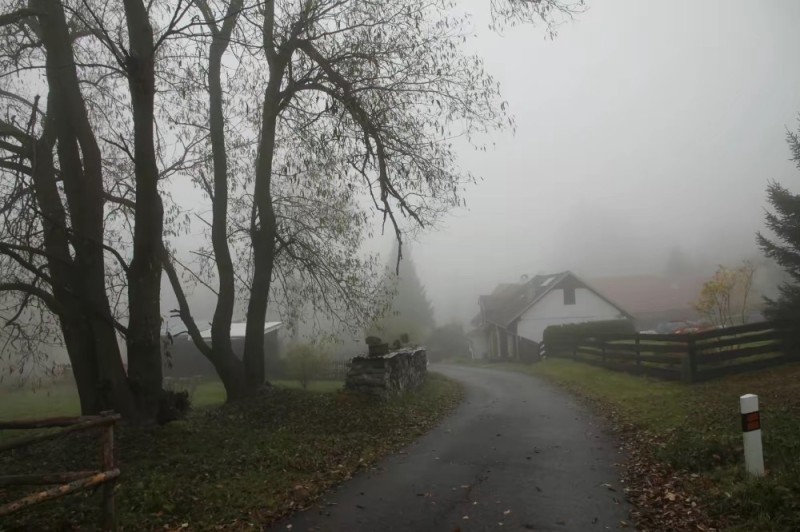 Create meme: morning fog , landscape fog, the old road in the fog