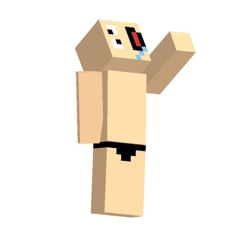 Create meme: minecraft skin , skin for minecraft, minecraft beginners