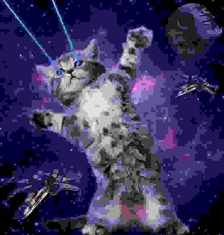 Create meme: cats in space, space cat, space cat