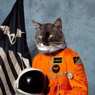 Создать мем: klaxons, klaxons "surfing the void", klaxons echoes