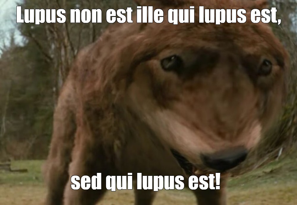 Lupus est перевод