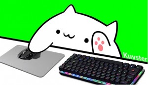 Создать мем: bongo cat meme, bongo cat keyboard, котики
