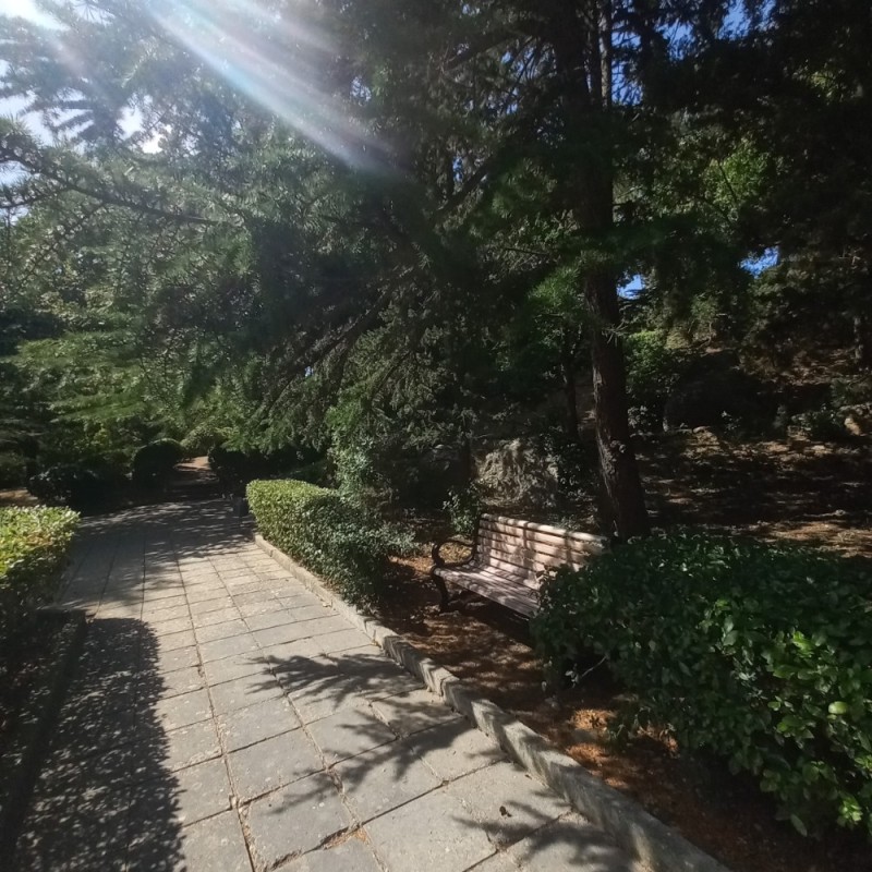 Create meme: nikitsky garden, big yalta, greenery