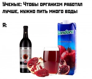 Создать мем: сок sandora гранат и черноплодная рябина 1л, сок гранат, сандора сок гранат