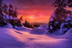 Create meme: winter sunset, winter, winter landscapes